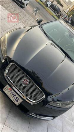 جاكوار XF